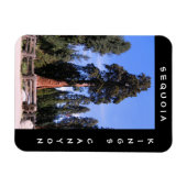 Sequoia Kings Canyon Magnet Magneet (Horizontaal)