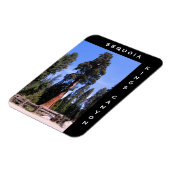 Sequoia Kings Canyon Magnet Magneet (Linkerzijde)