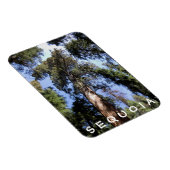 Sequoia Kings Canyon Magnet Magneet (Rechterzijde)