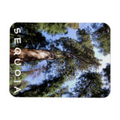 Sequoia Kings Canyon Magnet Magneet (Horizontaal)