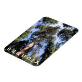 Sequoia Kings Canyon Magnet Magneet (Linkerzijde)