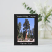 Sequoia Kings Canyon National Park Briefkaart (Staand voorkant)