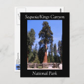 Sequoia Kings Canyon National Park Briefkaart (Voorkant / Achterkant)