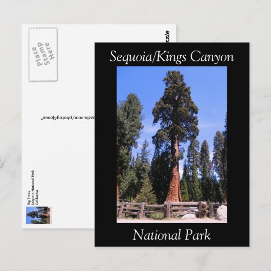 Sequoia Kings Canyon National Park Briefkaart (Voorkant / Achterkant)