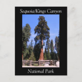 Sequoia Kings Canyon National Park Briefkaart (Voorkant)