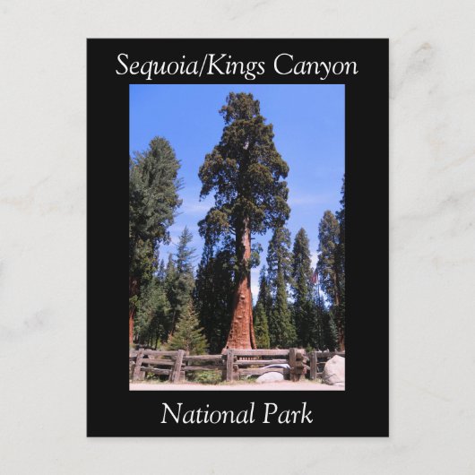 Sequoia Kings Canyon National Park Briefkaart (Voorkant)