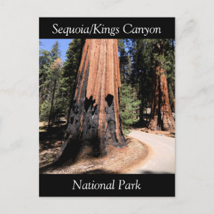 Sequoia Kings Canyon National Park Briefkaart