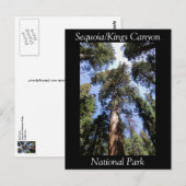 Sequoia Kings Canyon National Park Briefkaart (Voorkant / Achterkant)