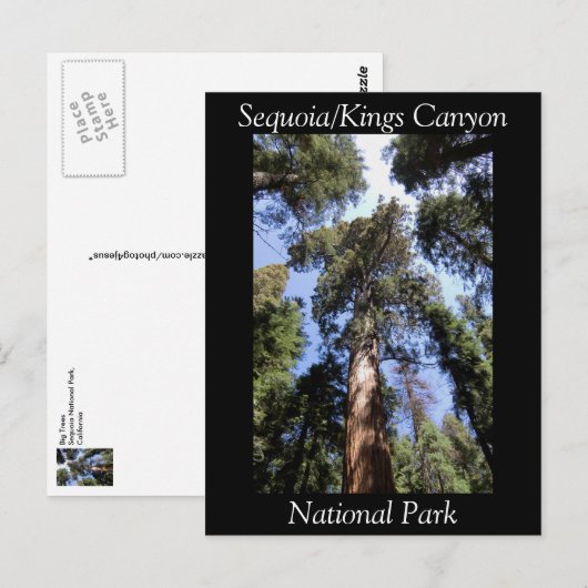 Sequoia Kings Canyon National Park Briefkaart (Voorkant / Achterkant)