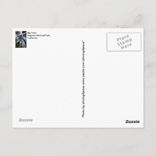 Sequoia Kings Canyon National Park Briefkaart (Achterkant)