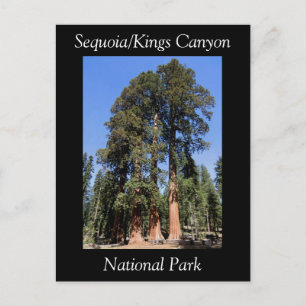 Sequoia Kings Canyon National Park Briefkaart