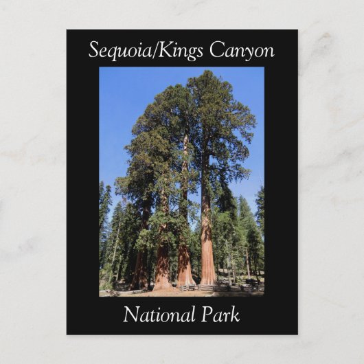 Sequoia Kings Canyon National Park Briefkaart (Voorkant)