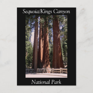 Sequoia Kings Canyon National Park Briefkaart