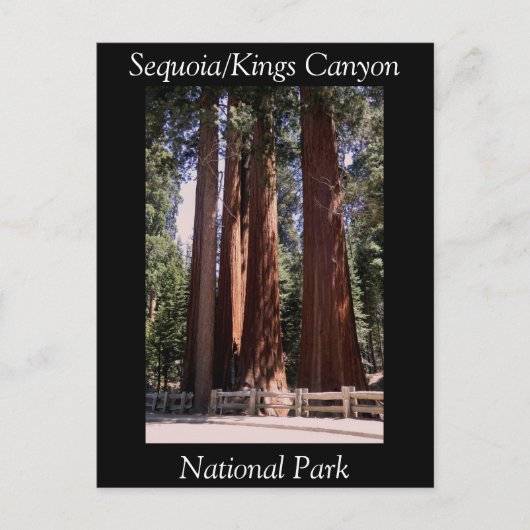 Sequoia Kings Canyon National Park Briefkaart (Voorkant)