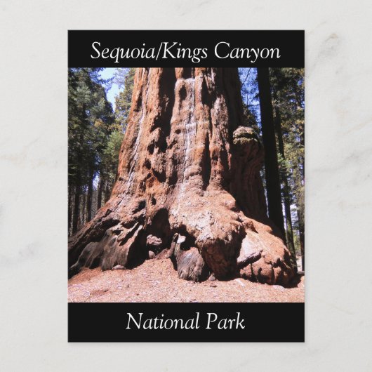 Sequoia Kings Canyon National Park Briefkaart (Voorkant)