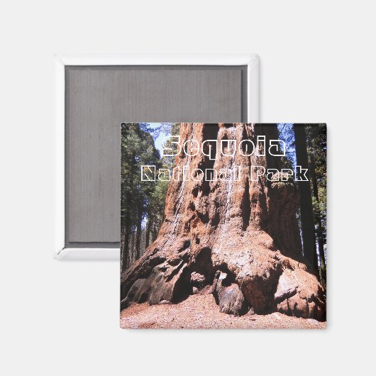 Sequoia/Kings Canyon National Park Magnet (Voorkant / Achterkant)