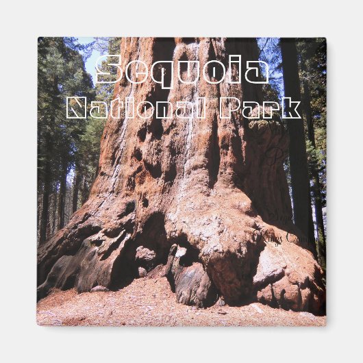Sequoia/Kings Canyon National Park Magnet (Voorkant)