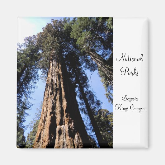 Sequoia/Kings Canyon National Park Magnet (Voorkant)