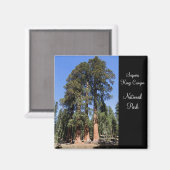 Sequoia/Kings Canyon National Park Magnet (Voorkant / Achterkant)