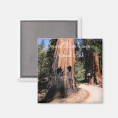Sequoia/Kings Canyon National Park Magnet (Voorkant / Achterkant)