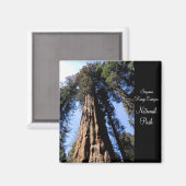 Sequoia/Kings Canyon National Park Magnet (Voorkant / Achterkant)