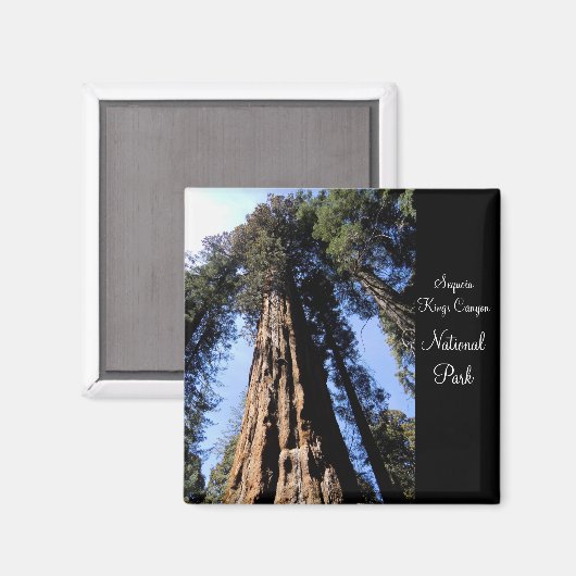 Sequoia/Kings Canyon National Park Magnet (Voorkant / Achterkant)