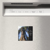 Sequoia/Kings Canyon National Park Magnet (Insitu (Vaatwasser))