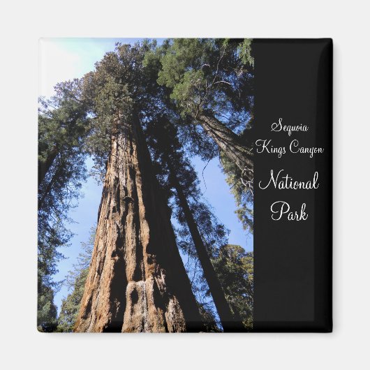Sequoia/Kings Canyon National Park Magnet (Voorkant)