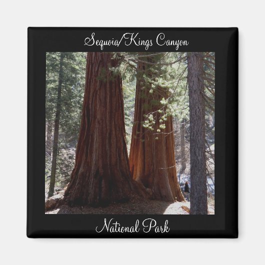 Sequoia/Kings Canyon National Park Magnet (Voorkant)