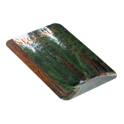 Sequoia/Kings Canyon National Park Magnet Magneet (Rechterzijde)
