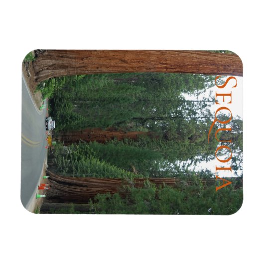 Sequoia/Kings Canyon National Park Magnet Magneet (Horizontaal)