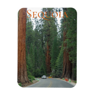 Sequoia/Kings Canyon National Park Magnet Magneet