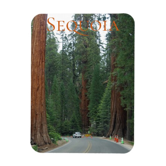 Sequoia/Kings Canyon National Park Magnet Magneet (Verticaal)