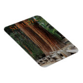 Sequoia/Kings Canyon National Park Magnet Magneet (Rechterzijde)