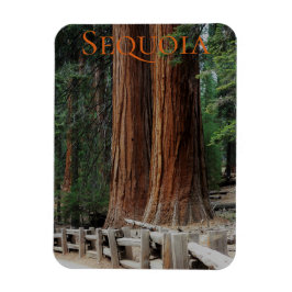 Sequoia/Kings Canyon National Park Magnet Magneet