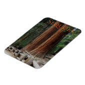 Sequoia/Kings Canyon National Park Magnet Magneet (Linkerzijde)