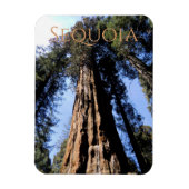 Sequoia/Kings Canyon National Park Magnet Magneet (Verticaal)