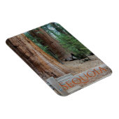 Sequoia/Kings Canyon National Park Magnet Magneet (Rechterzijde)