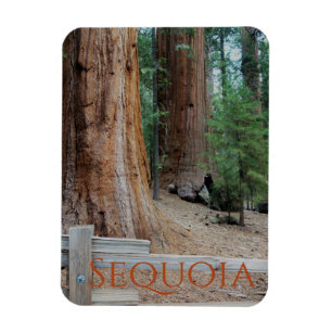 Sequoia/Kings Canyon National Park Magnet Magneet