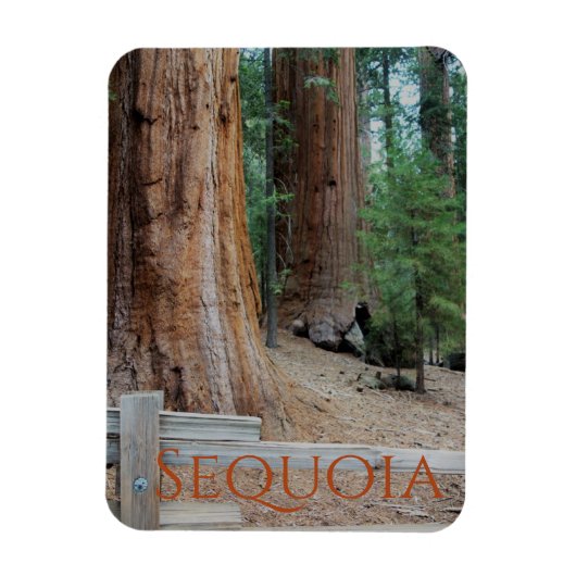 Sequoia/Kings Canyon National Park Magnet Magneet (Verticaal)
