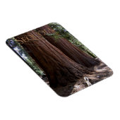 Sequoia Kings Canyon National Park Magnet Magneet (Rechterzijde)