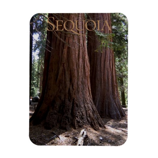 Sequoia Kings Canyon National Park Magnet Magneet (Verticaal)