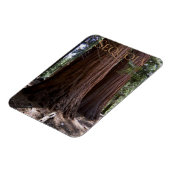 Sequoia Kings Canyon National Park Magnet Magneet (Linkerzijde)