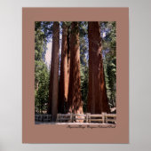 Sequoia/Kings Canyon National Park Poster (Voorkant)