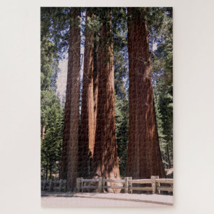 Sequoia/Kings Canyon National Park Puzzle Legpuzzel