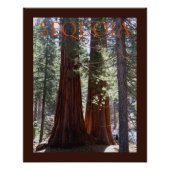 Sequoia/Kings Canyon Poster (Voorkant)