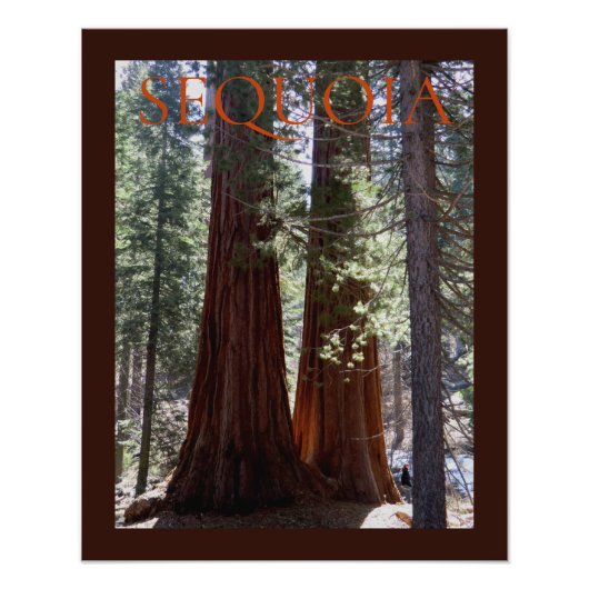 Sequoia/Kings Canyon Poster (Voorkant)