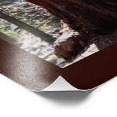 Sequoia/Kings Canyon Poster (Hoek)