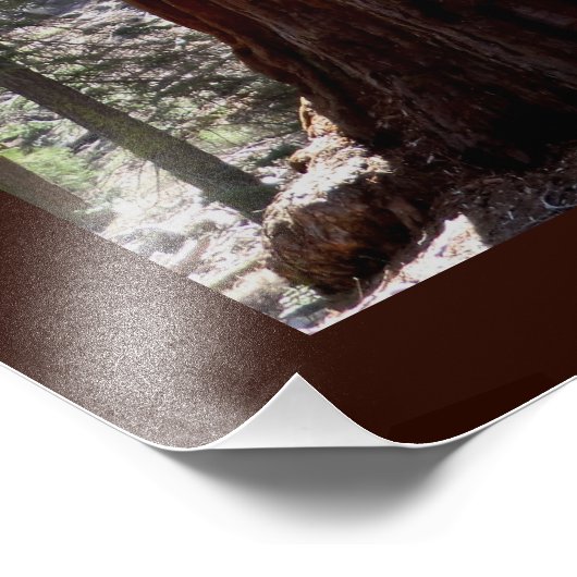 Sequoia/Kings Canyon Poster (Hoek)