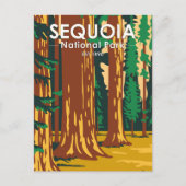 Sequoia Nationaal Park Giant Sequoia Trees  Briefkaart (Voorkant)